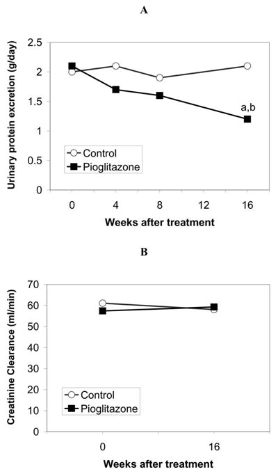 Urinary Protein Excretion A And Creatinine Clearance B During 16