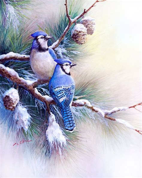 Bluejay Pine Tree Snow Art Print Of Watercolor Painting Etsy