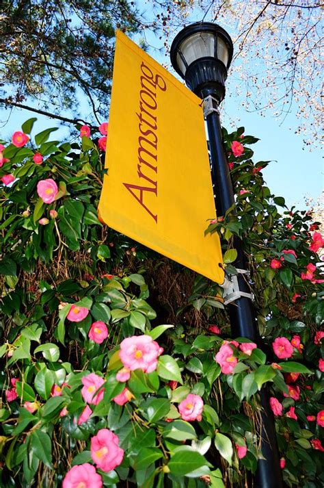 Armstrong State University banner Photograph by Linda Covino - Fine Art ...