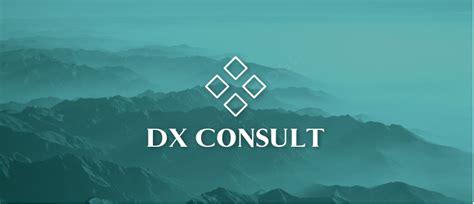 Dx Consult Optim Ring Af Ecommerce Forretningen