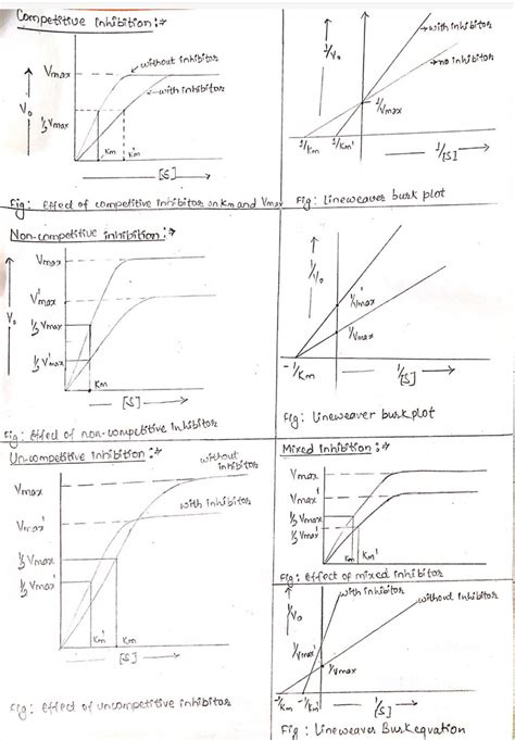 Enzyme inhibition and types of enzyme inhibitors - Online Biology Notes