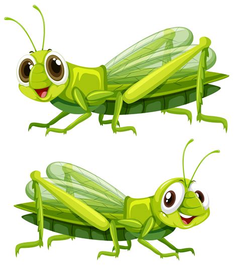 Grasshopper Vector Art, Icons, and Graphics for Free Download