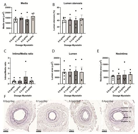 Ijms Free Full Text Myostatin Inhibits Vascular Smooth Muscle Cell