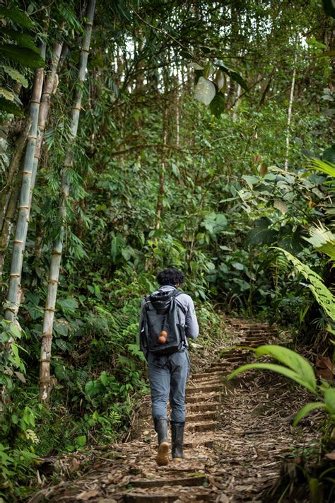 Giant butterflies and native orchids: hiking in Ecuador's cloud forest