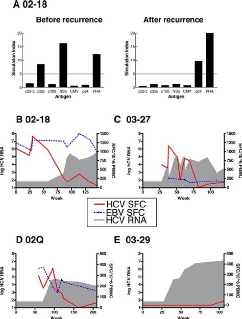 Hcv Specific T Cell Responses Before And After Hcv Recurrence In Hiv