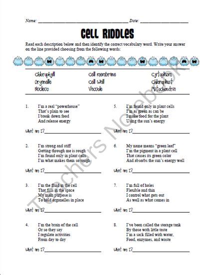 Cell City Activity Worksheet