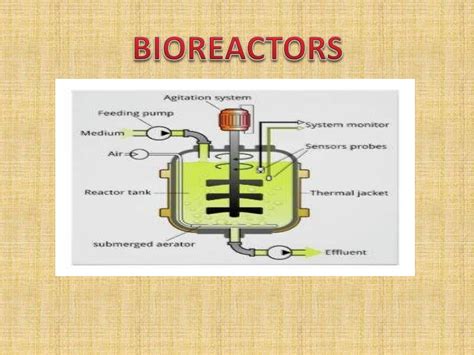 SOLUTION: bioreactor and its types - Studypool