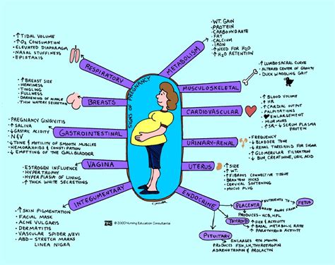 ALL FOR NURSING: MCHN: Signs of Pregnancy