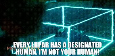 Yarn Every Lupar Has A Designated Human I M Not Your Human