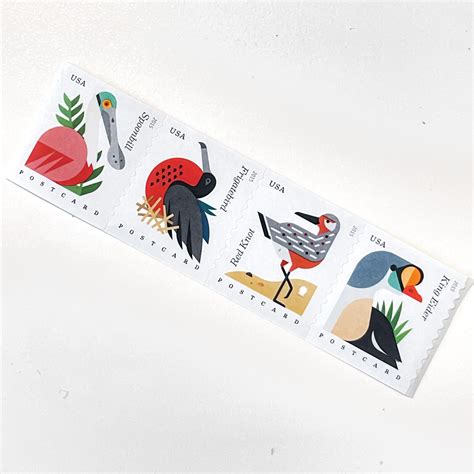 US 4995 98 COASTAL BIRDS 2015 Postcard Stamps Coil Strip Of 4 In