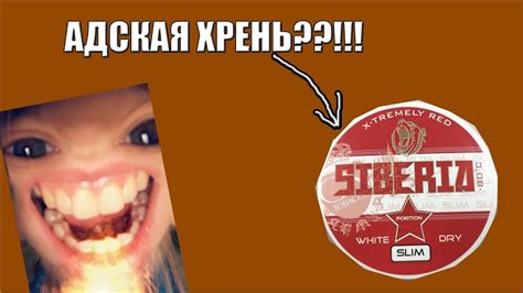 ВОТ ЧТО СО МНОЙ СДЕЛАЛ СНЮС SIBERIA! ОБЗОР СНЮСА СИБЕРИЯ(SIBERIA SLIM ...