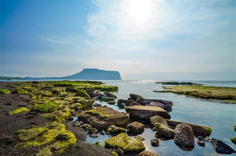 Beginners Guide To Jeju Island Visitkorea