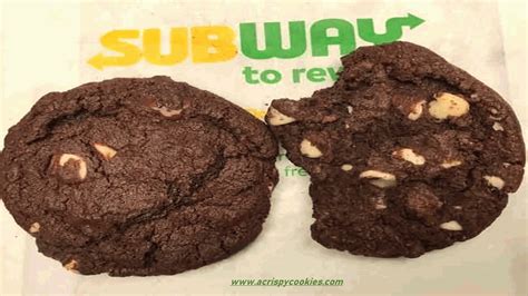 subway double chocolate chip cookie recipe COPYCAT - A Crispy Cookies