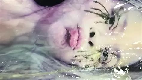 Slutty Johanna My Sex Slave Free Gay Porn 17 XHamster