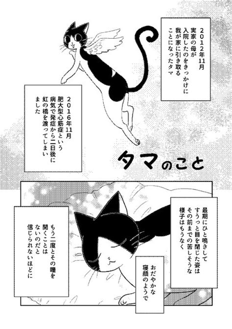 何度かツイートしていますが 猫の日ということなのでこちらを ＊お別れの ふくだもとこオフィシャル さんのマンガ ツイコミ仮