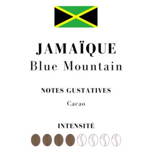 Blue Mountain de Jamaïque Un monde de cafés Depuis 1924