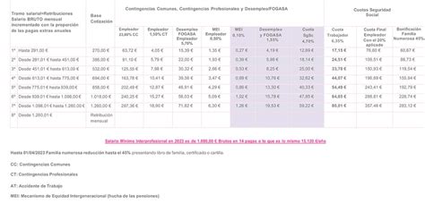 Bases de Cotización Seguridad Social Empleadas de Hogar 2023 Donadona