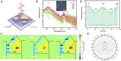 A Polarization Sensitive Photothermoelectric Photodetector Based On Mixed Dimensional Swcnt Mos