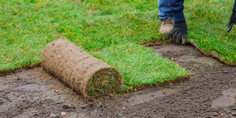 Quels sont les bénéfices du gazon en rouleau