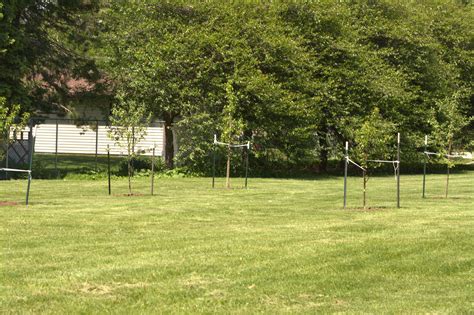 Community Orchards — New Leaf Foods