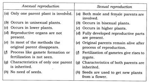 Reproduction In Plants Class 7 Diagram