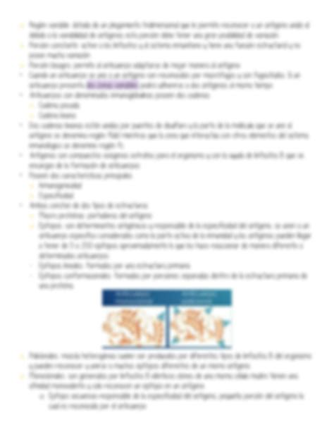 Solution S Inmunocitoqu Mica E Inmunohistoqu Mica Studypool