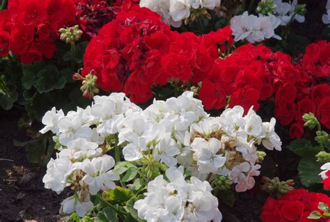 Travel Guide to Acton Town Station in South East London 14