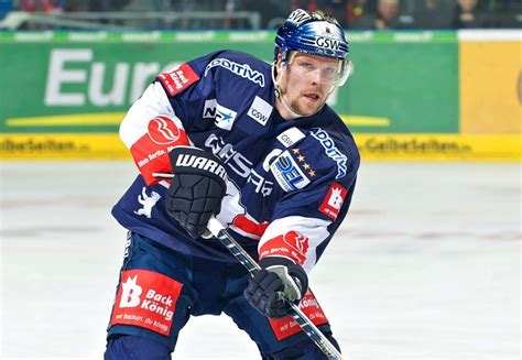 3 5 Eisbären lassen in München Federn B Z Stimme Berlins