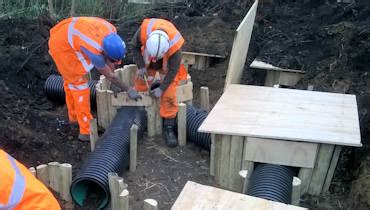 building  badger sett vgc group