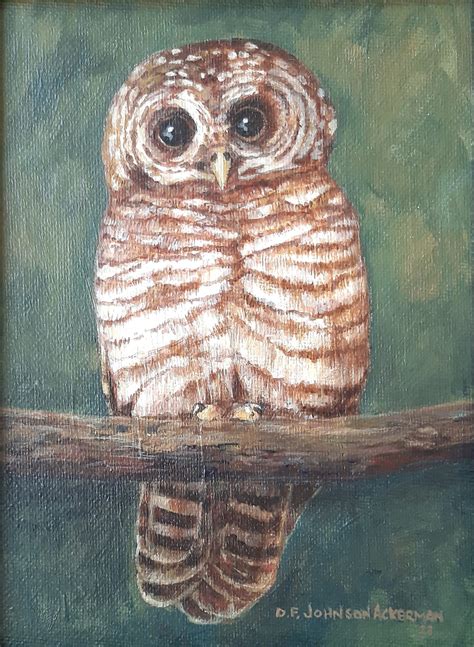 Owl Diane Johnson Ackerman