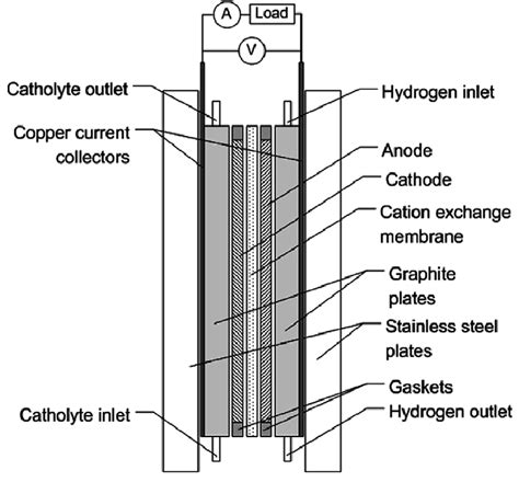 Schematic of the galvanic cell. | Download Scientific Diagram