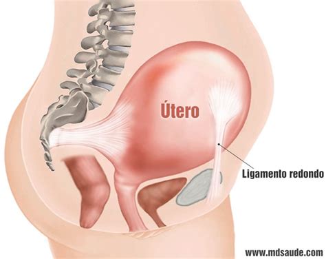 Lavare Le Finestre Luce Del Sole Sedersi Dor No Utero Pos Parto Per