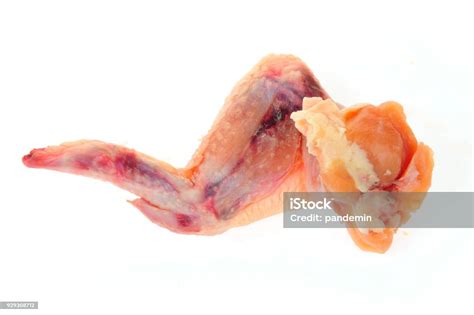 Raw Chicken Wings On A White Background Stock Photo Download Image