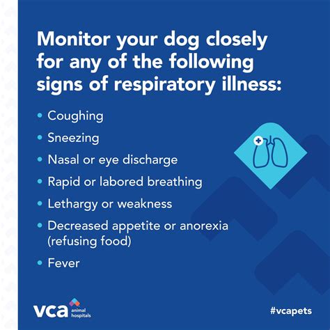 VCA Madera Pet Hospital | Corte Madera CA