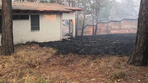 Incendios Forestales No Dan Tregua En Honduras Proceso Digital