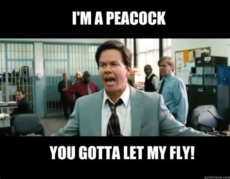 I'm a peacock You gotta let my fly! - Mark Wahlberg Fail - quickmeme