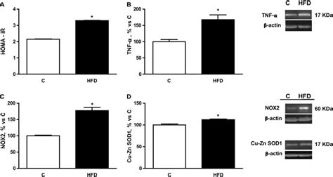 A Homeostasis Model Assessment Of Insulin Resistance Homa Ir Index