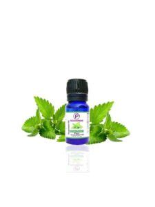 Peppermint Essential Oil 10 Ml – MADE IN WORLD