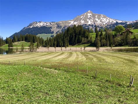 Discover more like Mountains: Swiss and Related Content | Scrolller