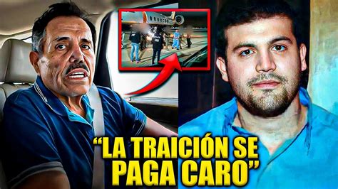 El Mayo Ha Sido Traicionado Por El Hijo Del Chapo Youtube