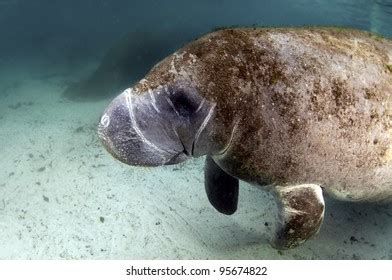 84 What Were They Thinking Images, Stock Photos & Vectors | Shutterstock