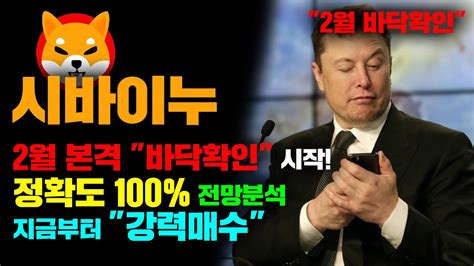 시바이누 긴급 2월 역대급 바닥매수 기회 정확도 100 전망분석 지금부터 집중하세요 코인시황 Youtube