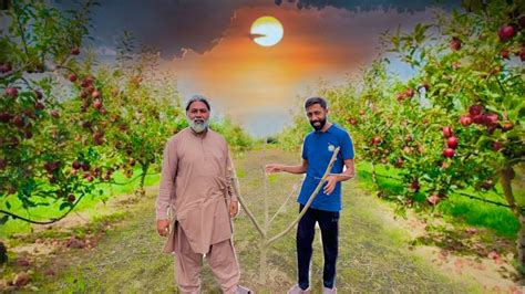 Alhamdulillah Hamara Mix Fruits Garden YouTube