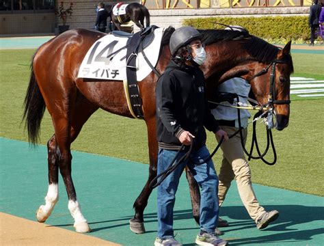 2月12日東京競馬3歳未勝利★ライパチ★デビューから4戦で登録抹消・・。 公式：黒澤ひかりのキラキラ日記～magic Kiss