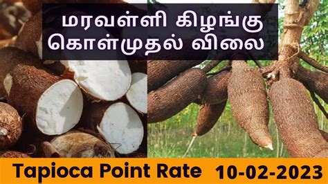 Tapioca Mill Point Rate