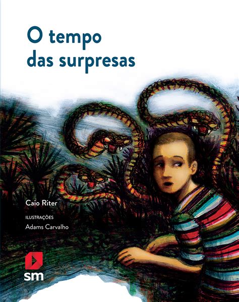 O Tempo Das Surpresas Edi O Sm Educa O