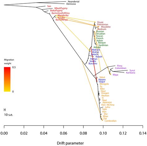 Evolutionary Biology: Stanford Evolutionary Biology