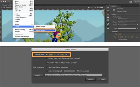 Custom Export Options In Animate Adobe Animate 教程