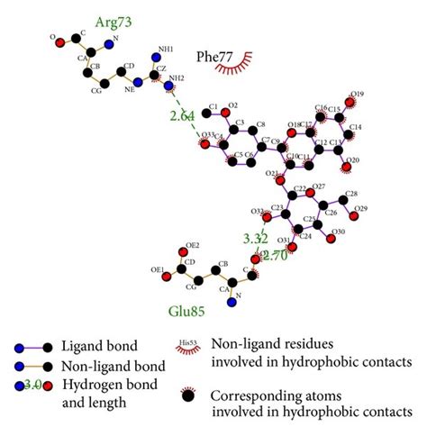 Ligplot Illustrating Protein Ligand Interactions During Docking A Download Scientific