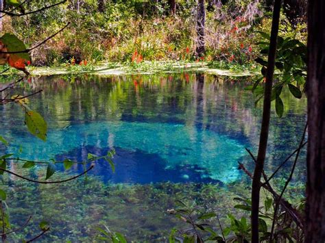 5 Best Natural Springs In Florida To Visit This Summer